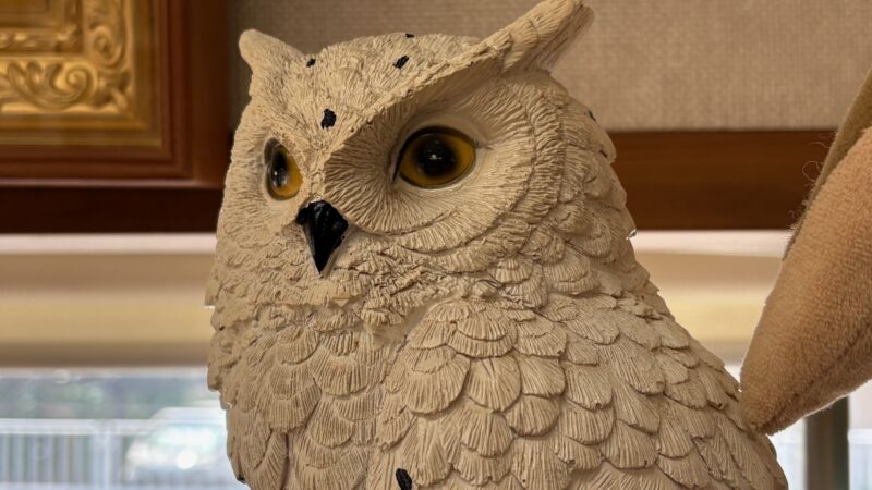 フクロウ 置物　ミミズク 白